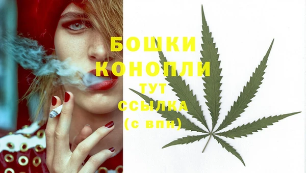 apvp Каменка