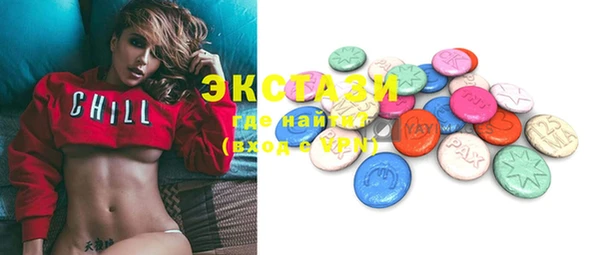 apvp Каменка
