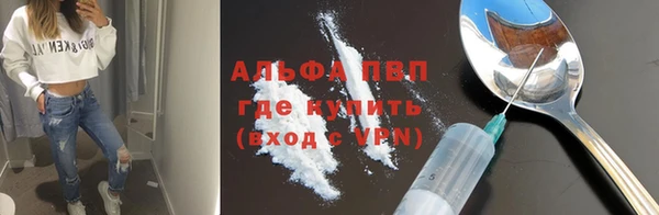 apvp Каменка