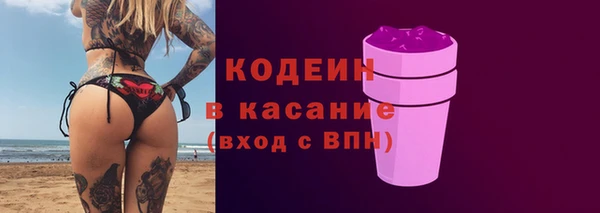 apvp Каменка