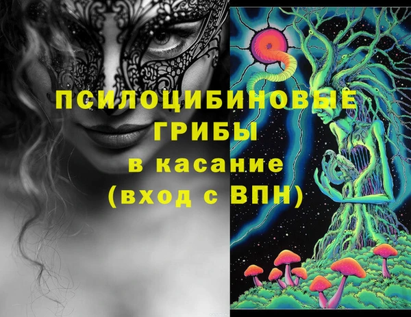 каннабис Каменногорск