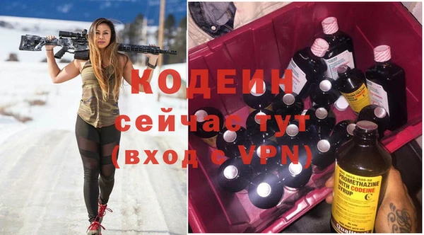 apvp Каменка