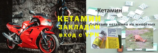 каннабис Каменногорск