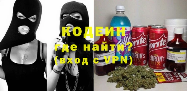 apvp Каменка