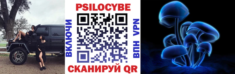 Купить  Чаплыгин  Галлюциногенные грибы Psilocybine cubensis 